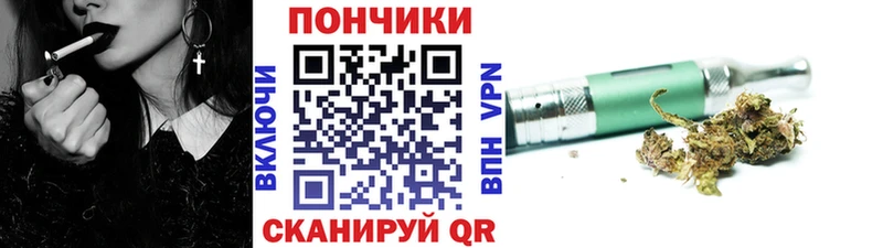 Канабис гибрид  Чекалин 